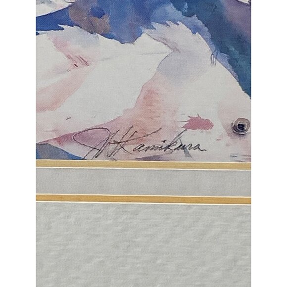 Fish Watercolor Print J. Kamikura 11" x 9" Framed - Picture 2 of 6